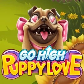 Go High Puppy Love online game logo by RubyPlay on x3betcasinoo.com